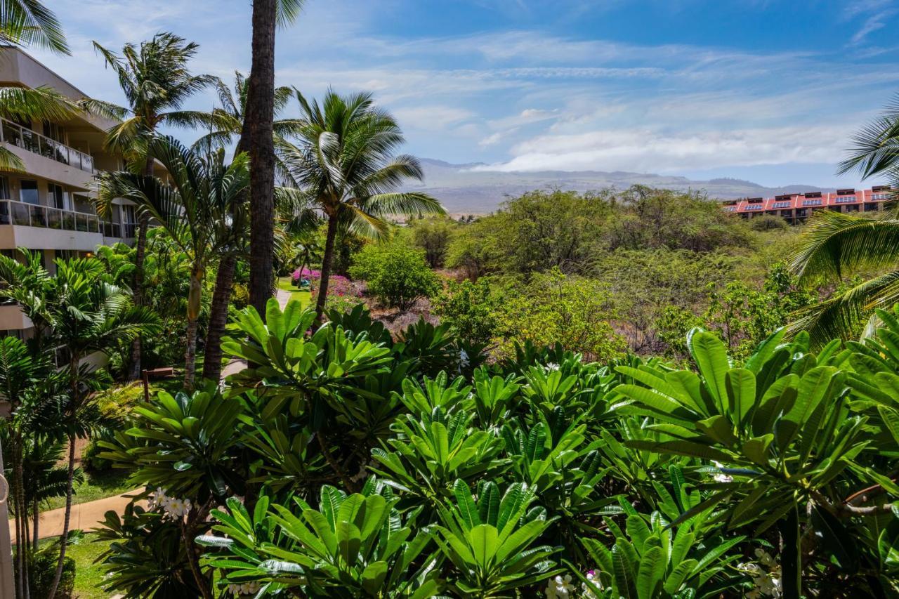 Maui Banyan H311 1Bd 2Ba 3 Min Walk To The Beach In The Heart Of South Kihei! ワイレア エクステリア 写真