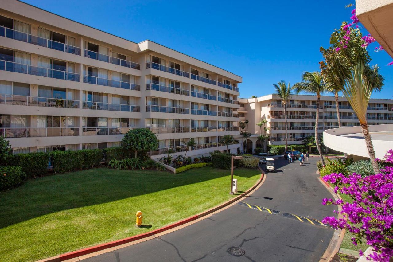 Maui Banyan H311 1Bd 2Ba 3 Min Walk To The Beach In The Heart Of South Kihei! ワイレア エクステリア 写真